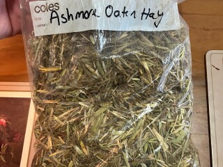 wasleys oaten squares sample bag